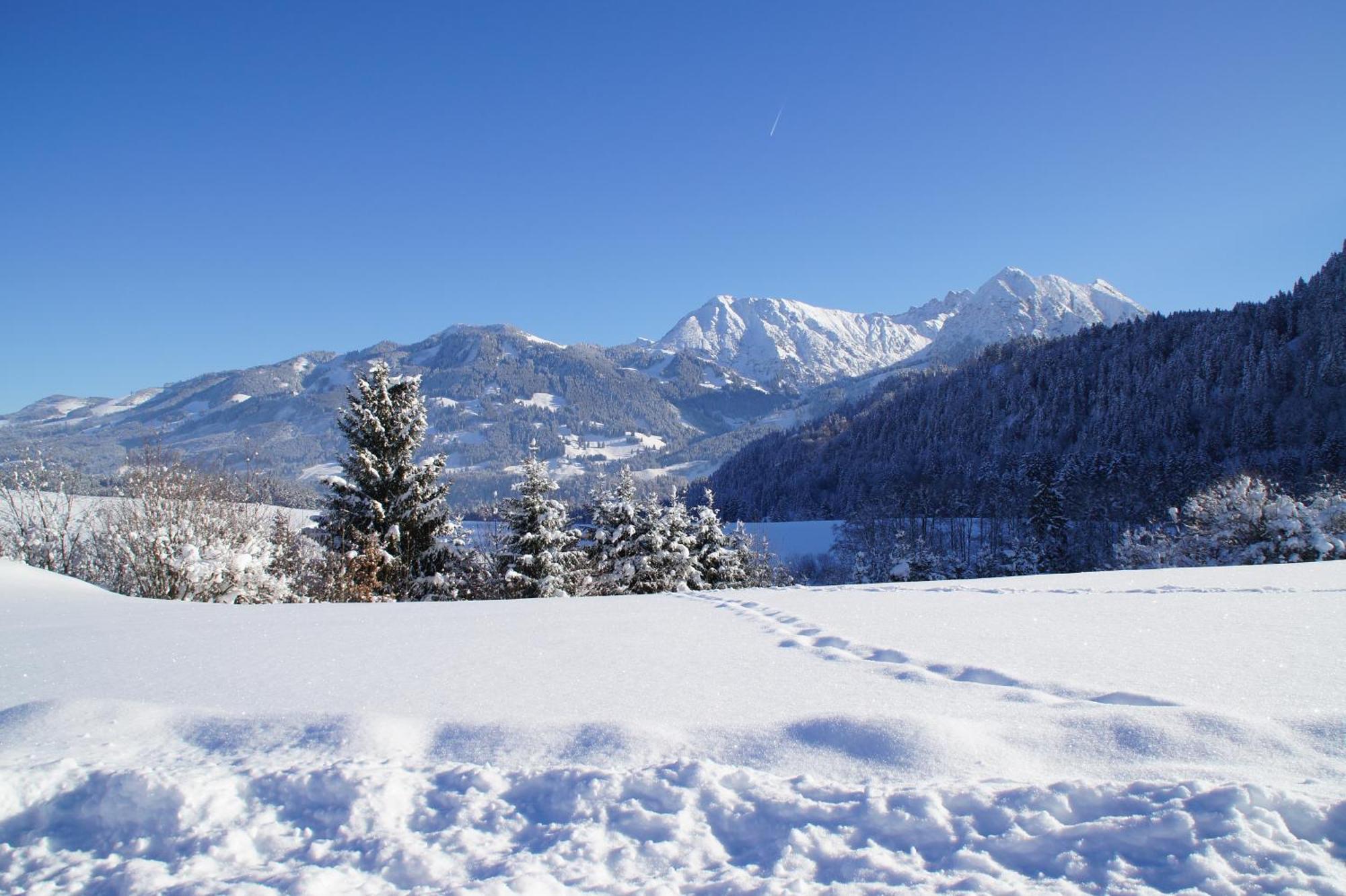 Wohlfuehlhotel Berwanger Hof Obermaiselstein Buitenkant foto